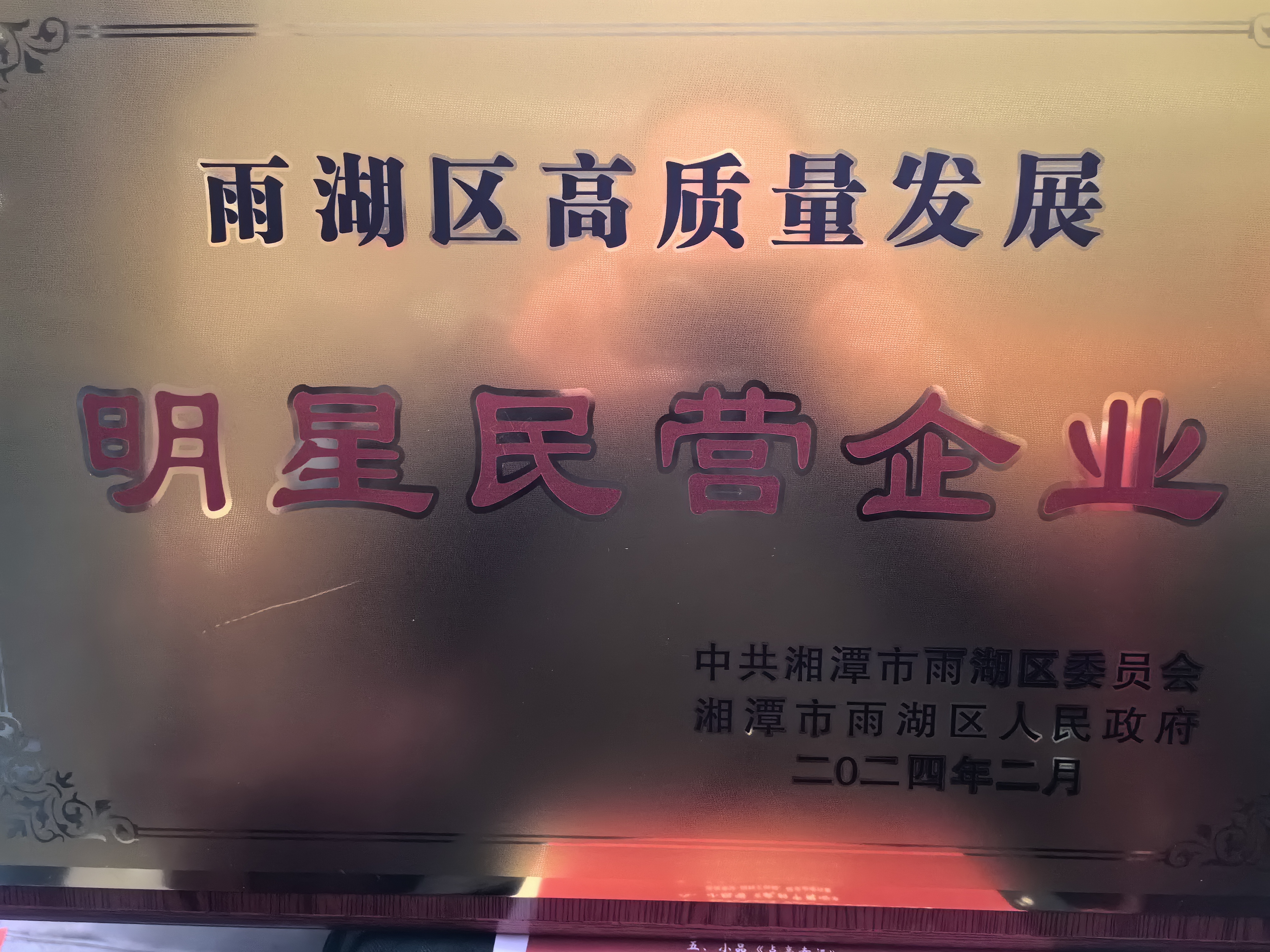 必一·运动荣获“雨湖区高质量发展明星民营企业”称号